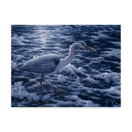 Trademark Fine Art Jeff Tift 'Evening Blues' Canvas Art, 14x19 ALI30231-C1419GG